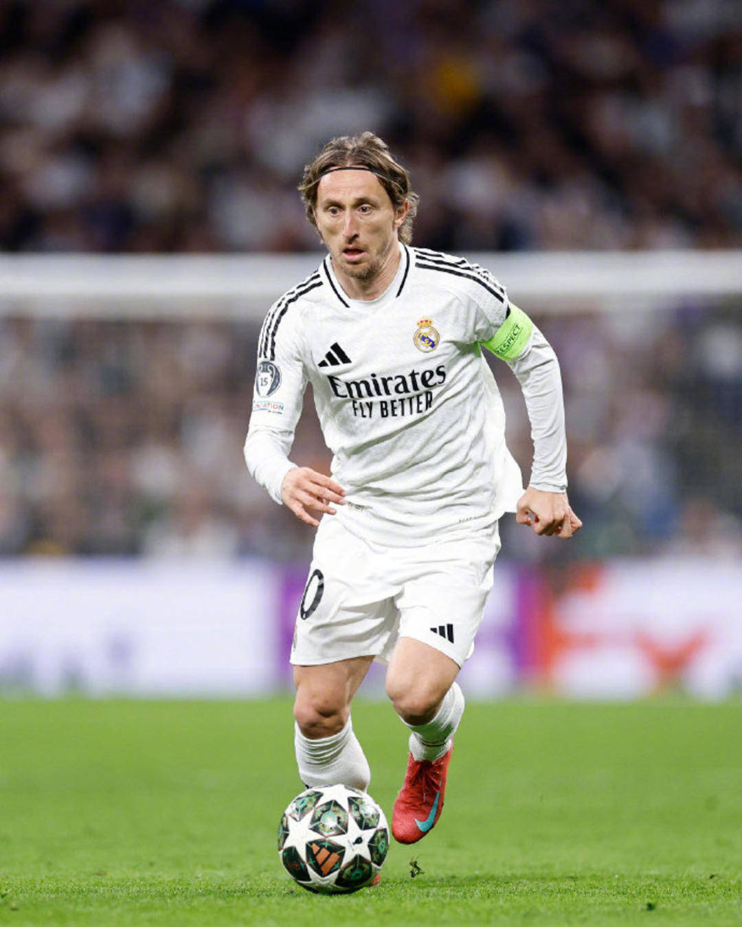 国足新主帅引发热议